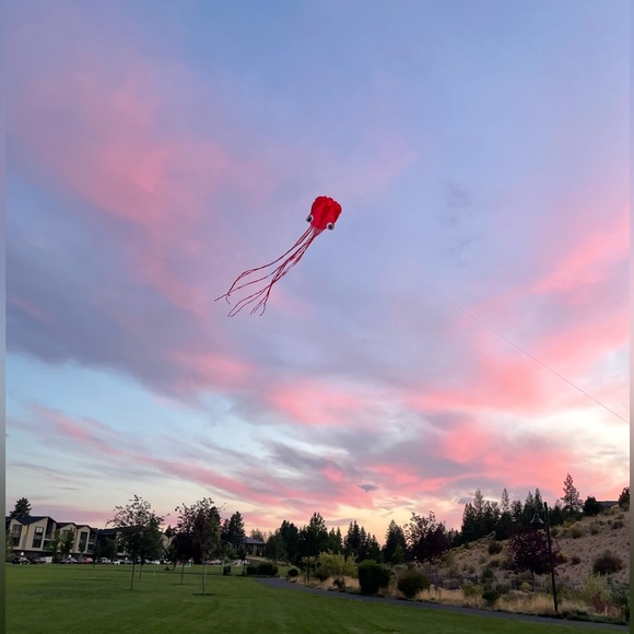 Meet your Posher, Abigail - Picture 5 of 6